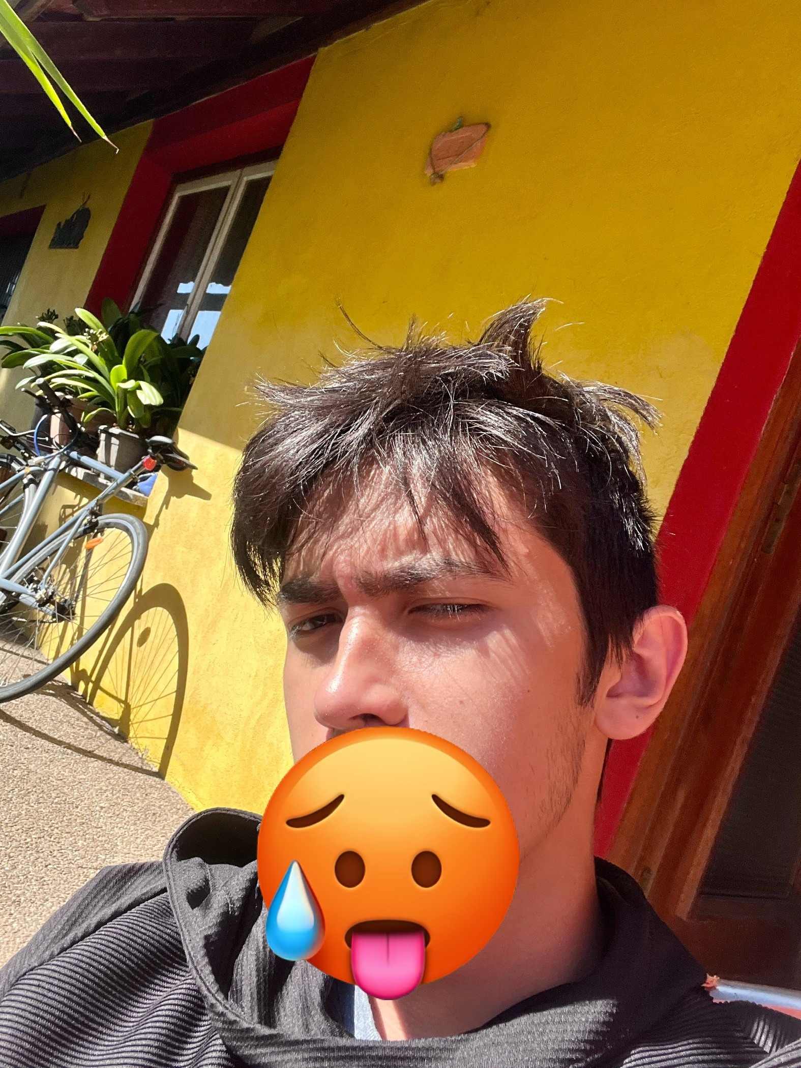 Profil de Jessy, 22 ans, Cruising gay à Sigirino